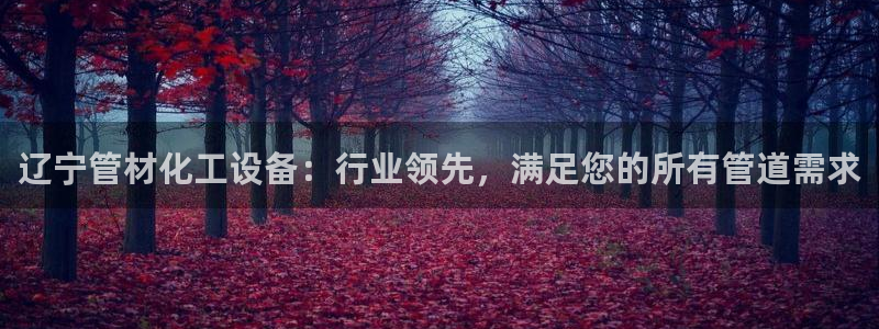 天辰平台你的专属平台是什么