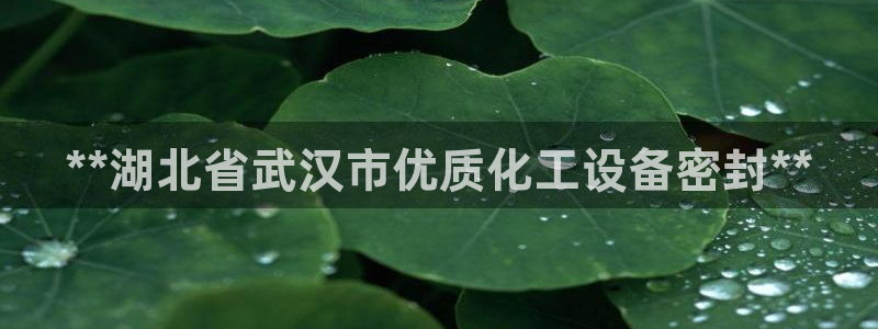 天辰平台荐 5O6917 天辰