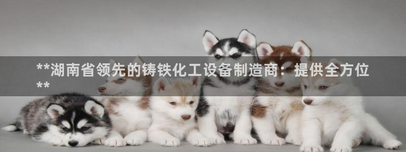 天辰会员是干什么的啊