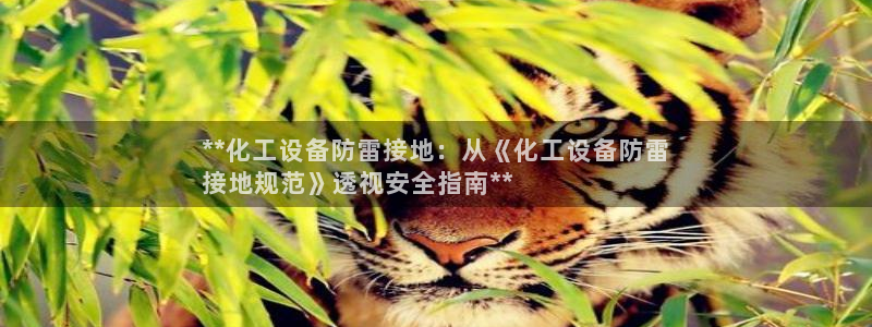 天辰平台注册登录地址