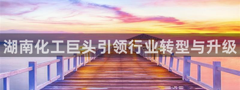 天辰平台测速登录不上怎么办