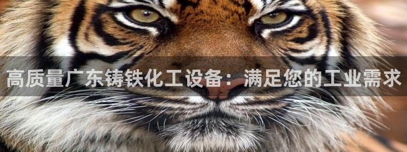天辰平台怎么样退款啊