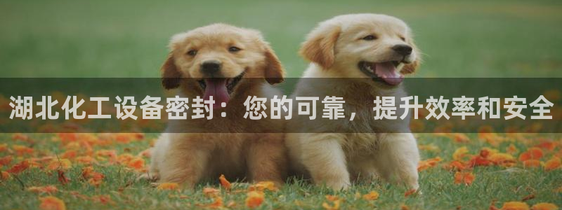 天辰平台用户登录入口