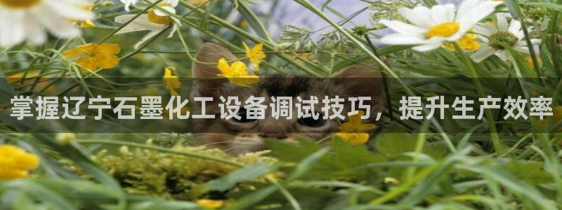 天辰平台 注册你的专属平台入口在哪