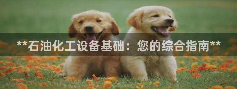 天辰平台挂机