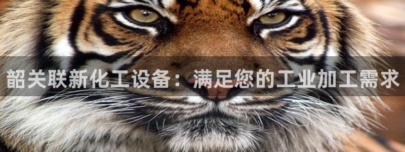 天辰平台用户登录不了