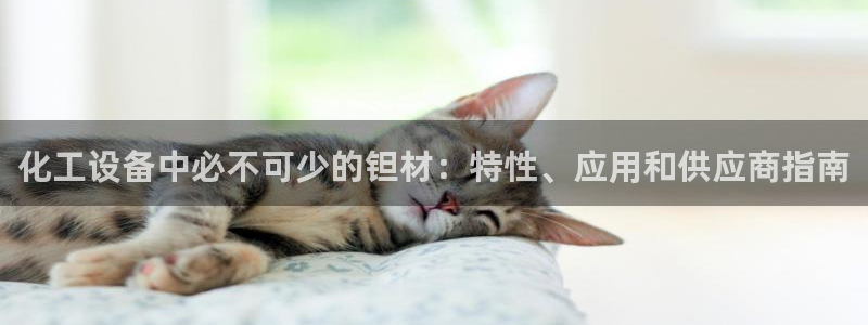 天辰平台木 5O6917 天辰