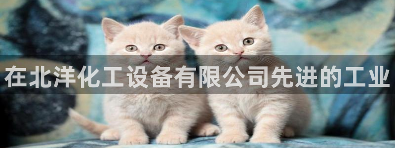 天辰平台注册登录地址怎么改啊