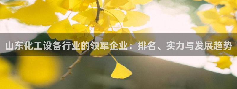 天辰娱乐都是干什么的啊：山东化工设备行业的领军企业