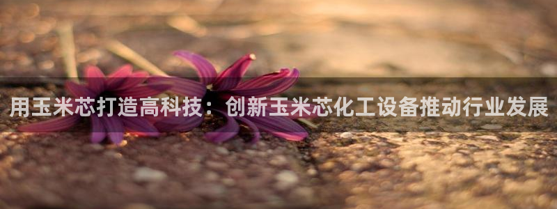 天辰平台你的专属平台