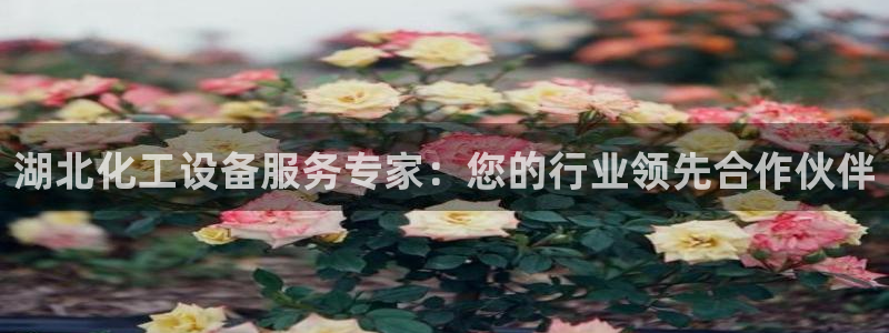 天辰ipci