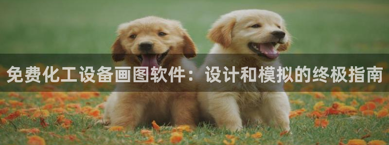 天辰娱乐都是干什么的呀：免费化工设备画图软件：设计