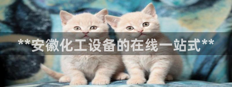 天辰平台思7O777：**安徽化工设备的在线一站式
