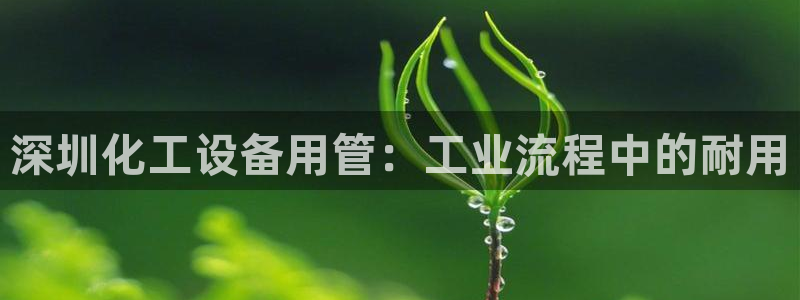 天辰注册会员怎么取消：深圳化工设备用管：工业流程中的耐用