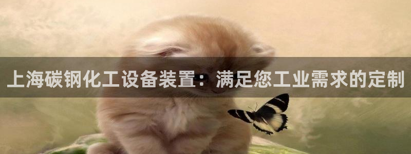 天辰娱乐都是干什么的呀：上海碳钢化工设备装置：满足您工业需求
