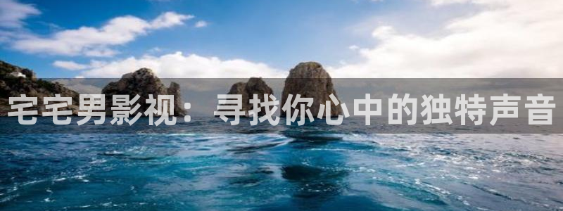 四库影院永久国产精品：宅宅男影视：寻找你心中的独特声音