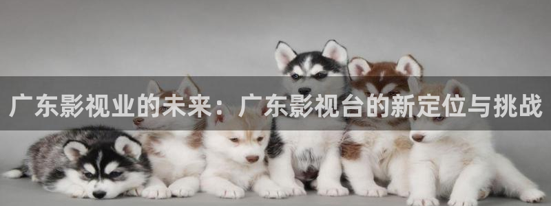 四库影院成人：广东影视业的未来：广东影视台的新定位与挑战
