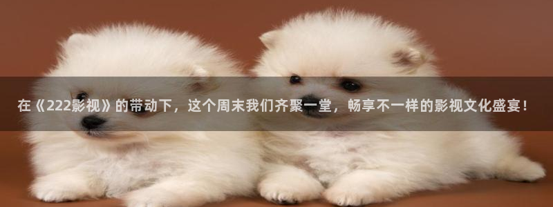 四库影院在线电影免费观看全集高清下载安装：在《222影视》的带动下，这个周末我们齐聚一堂，畅享不一样的影视文化盛宴！