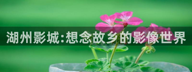 四库电影：湖州影城:想念故乡的影像世界