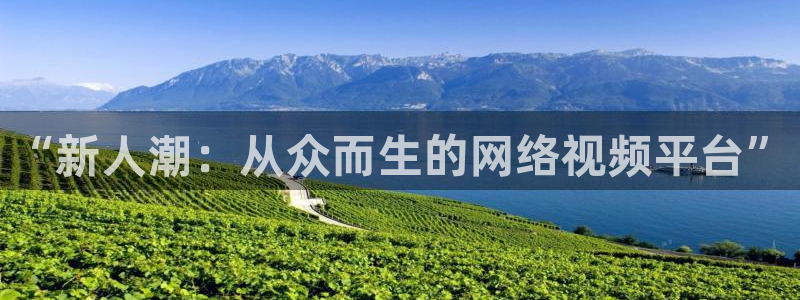 四库电影网：“新人潮：从众而生的网络视频平台”