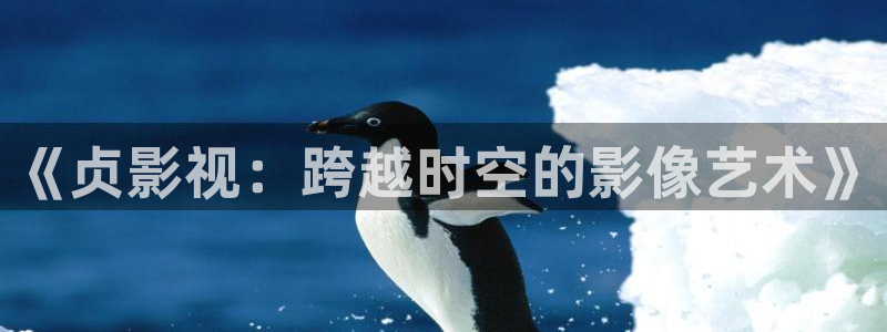 四库影院在线免费观看：《贞影视：跨越时空的影像艺术》