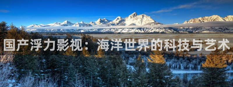 四库影院永久地址：国产浮力影视：海洋世界的科技与艺术