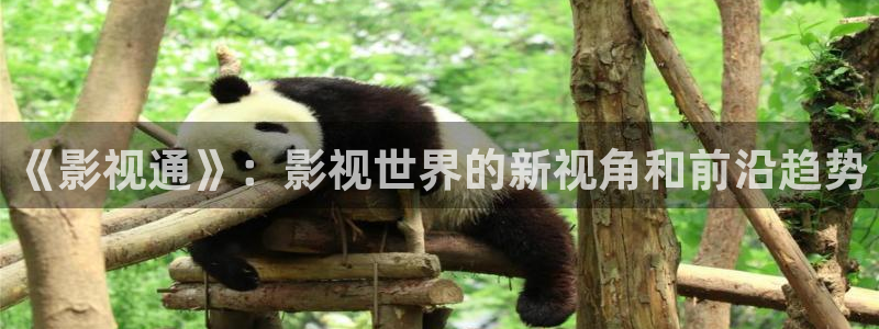 四库影院永久地址www1515com：《影视通》：影视世界的新视角和前沿趋势