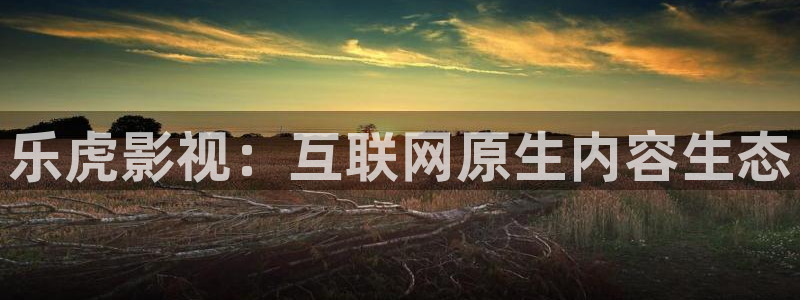 四库影院免费永久在线：乐虎影视：互联网原生内容生态