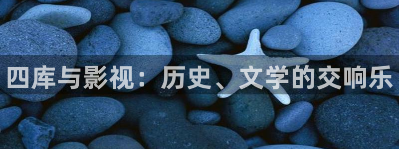 四库影院永久：四库与影视：历史、文学的交响乐