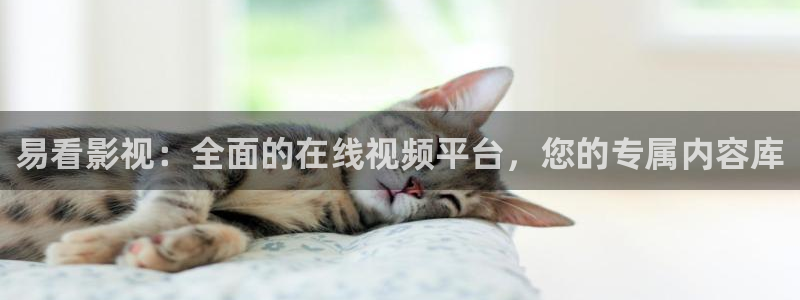 海外四库影院：易看影视：全面的在线视频平台，您的专属内容库