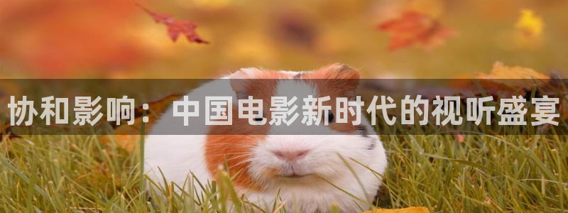 四库电影：协和影响：中国电影新时代的视听盛宴